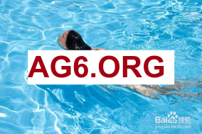 此前主动申请交易！湖记：湖人积极兜售了克内克特但未能达成交易